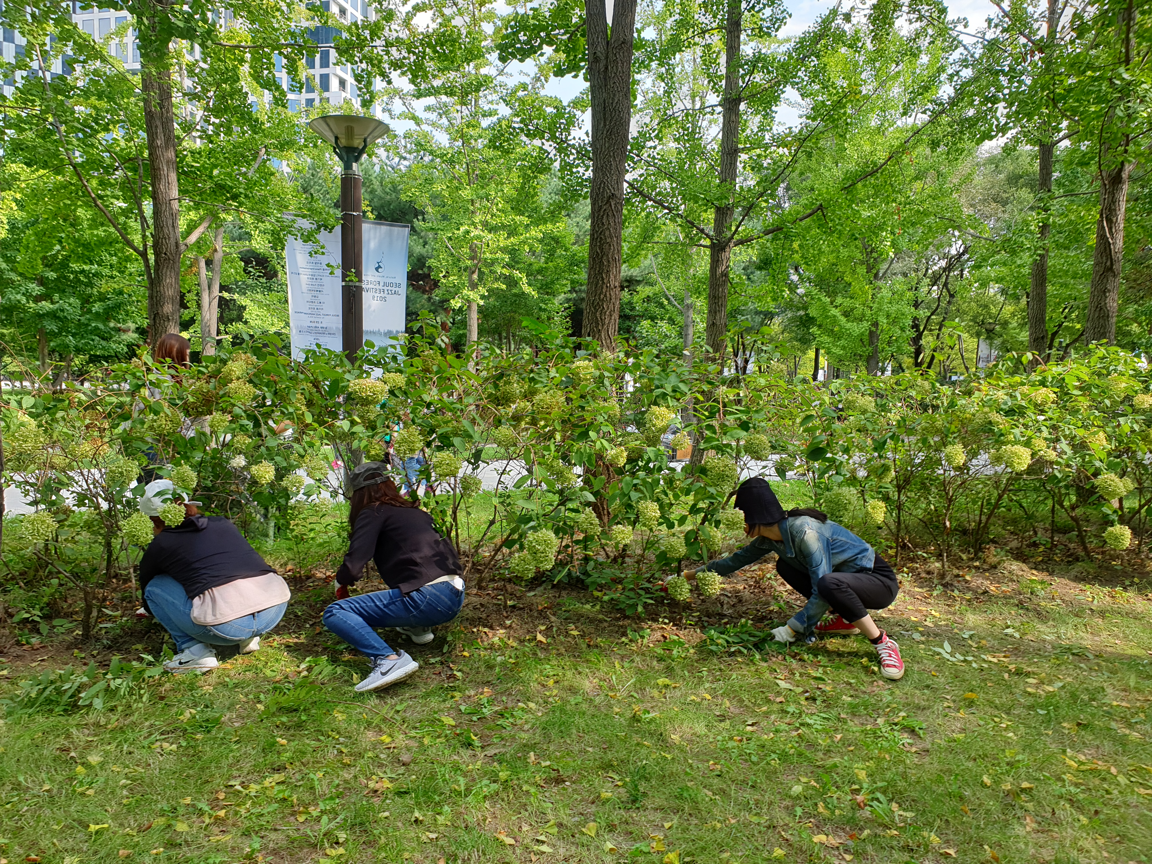 서울숲 화단 가꾸기